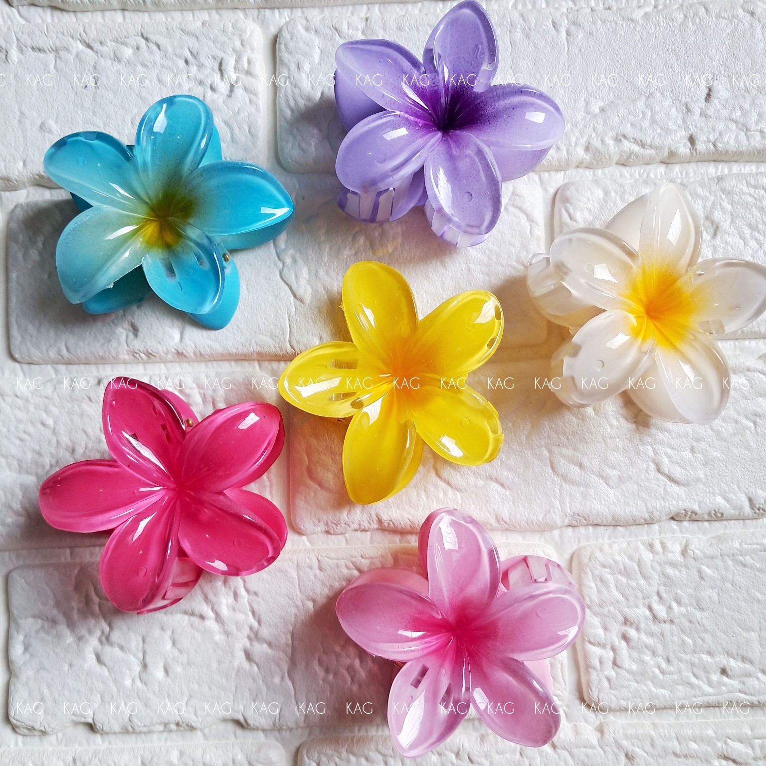 کیلیپس پلومریا سایز بزرگ